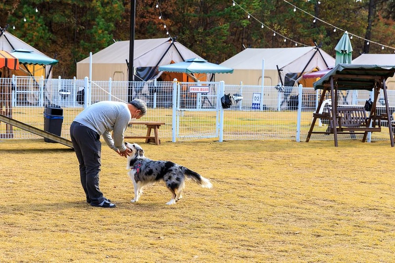 멍글멍글 펫글램핑 시설 사진 10