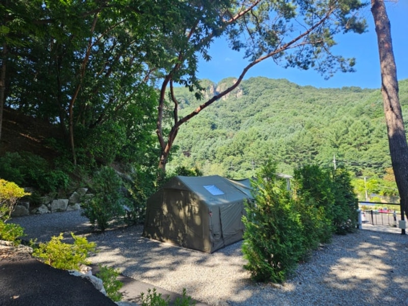 포천 산정호수 돌고래캠핑장 소나무존7 여름캠핑 2박 후기