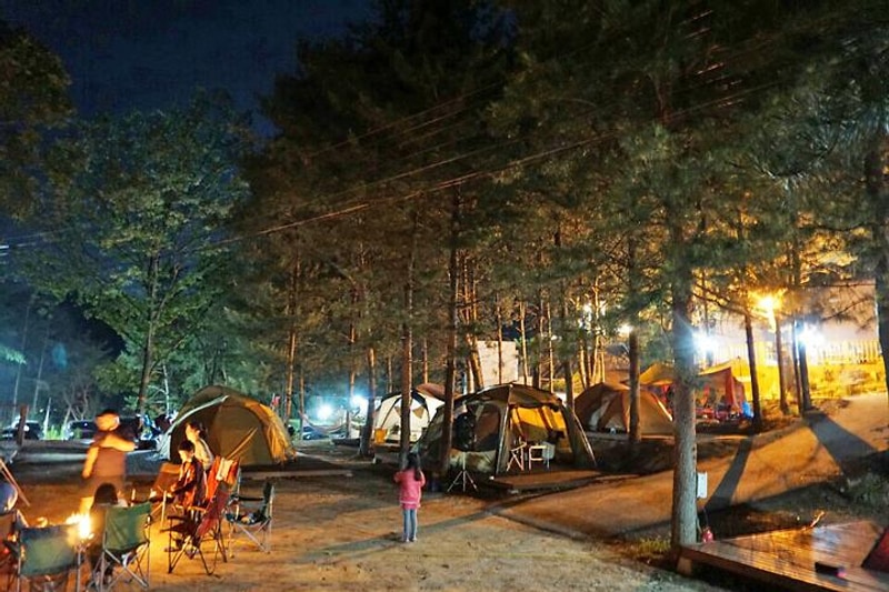 힐링스토리 대표 사진