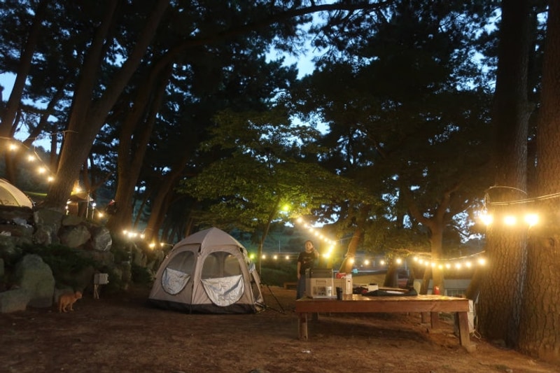 [경남-전북 여행 셋째 날] 남해 사촌해수욕장 & 야영장 & 밤낚시