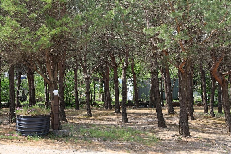 꿈꾸는 계곡 야영장 시설 사진 11