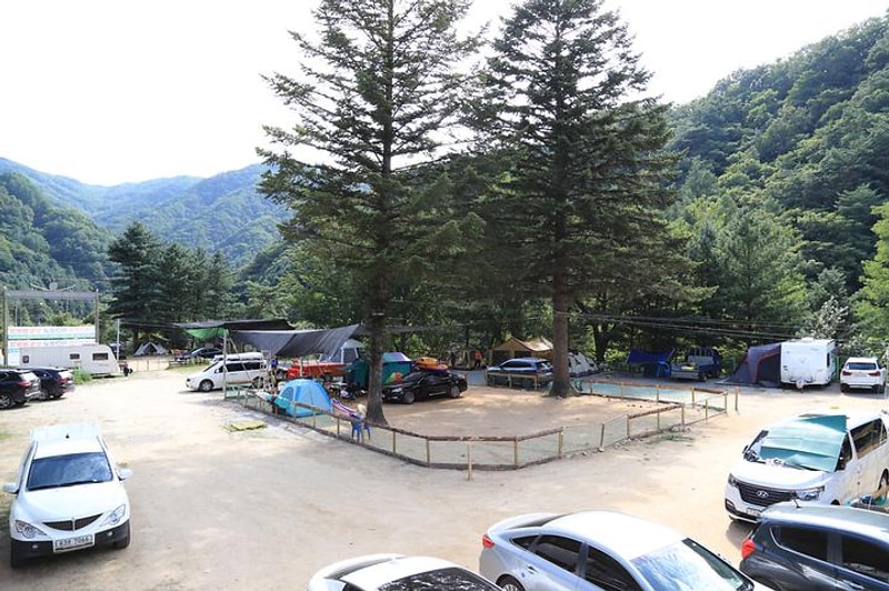 미산분교 캠핑장 대표 사진