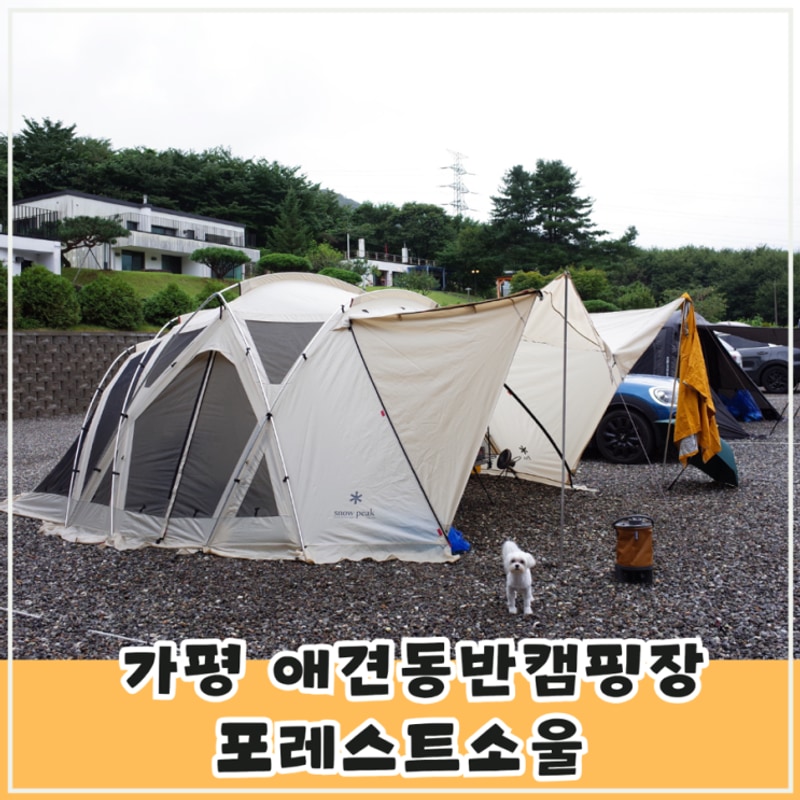 가평 애견동반캠핑장... 2인 전용 노키즈 캠핑장 포레스트소울