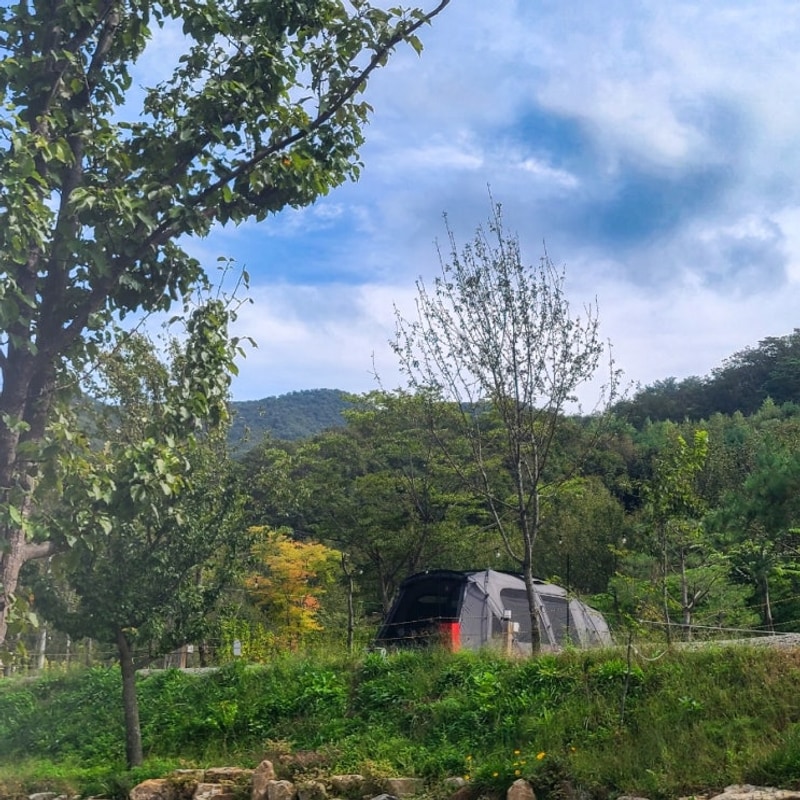 오랜만에 2박 3일 캠핑 홍천 오도치 캠핑장 후기✨