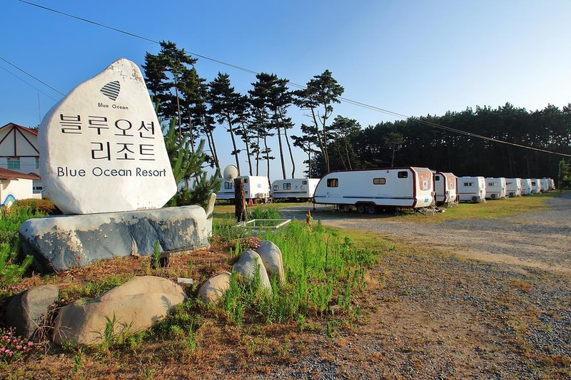 블루오션리조트, 오션파크 시설 사진 13