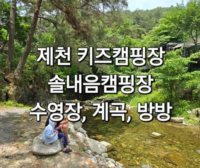 제천 키즈캠핑장 솔내음캠핑장 느티존 벚꽃존 장단점 정리