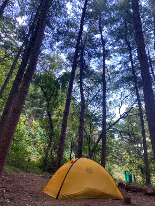 24.10월(서리산잣나무숲,강화버팔로캠팜,파주비학농원캠핑장...