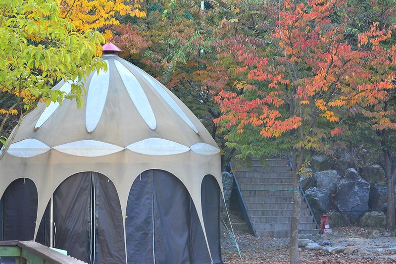 동물카라반 시설 사진 19