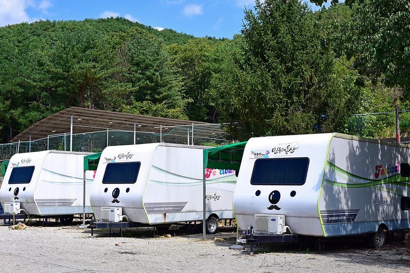 민들레동산 캠핑장 시설 사진 5