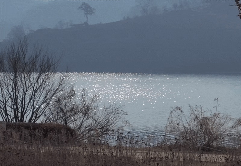 충주 우륵대교와 평화로운 호수뷰 맛집 '탄금호야영장'