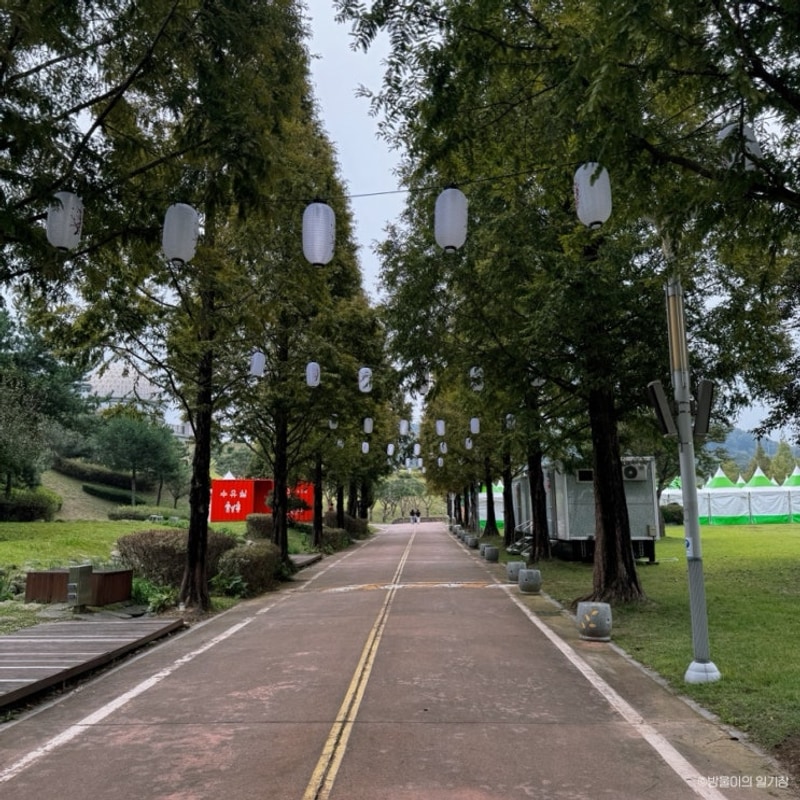 안성 산책하기 좋은 곳 안성맞춤가족공원 캠핑장, 공공텃밭 등...