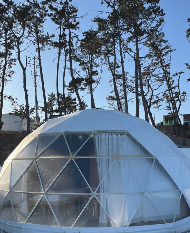 [숙소] 포항 TITF카라반 | 포항 글램핑 | 포항 애견동반 숙소...