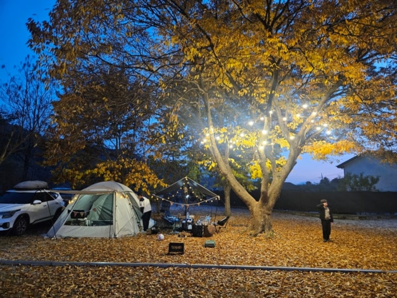 포천 넓은마당 캠핑장,평강랜드 / 가을 & 올해 마지막...