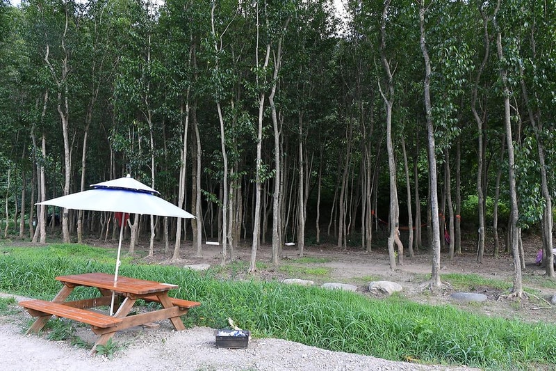 둘레길관광농원 시설 사진 5