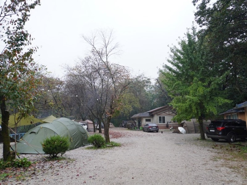 포천 딥포레스트캠핑장 숲 속 2박 3일 힐링캠핑 (애견동반)