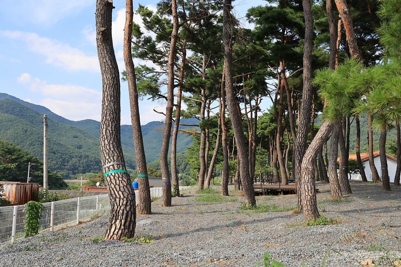 초록여울 캠핑장 시설 사진 21