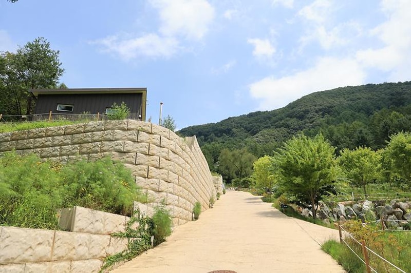 집 밖으로 대표 사진