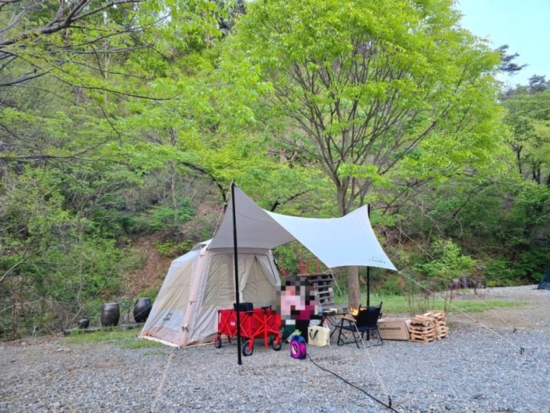 충청남도 안성 반딧불캠핑장 A4 사이트 후기(+ 사이트 추천)