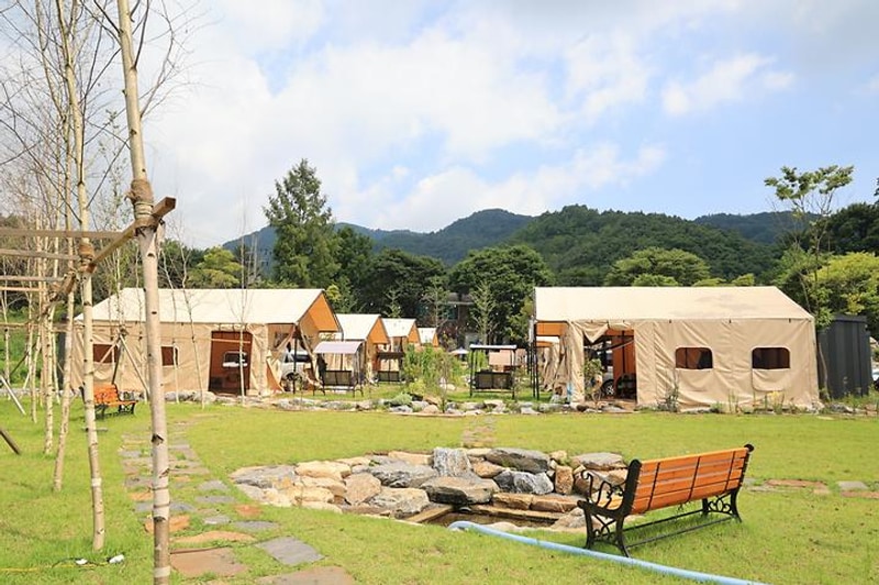 캠핑 포에버 대표 사진