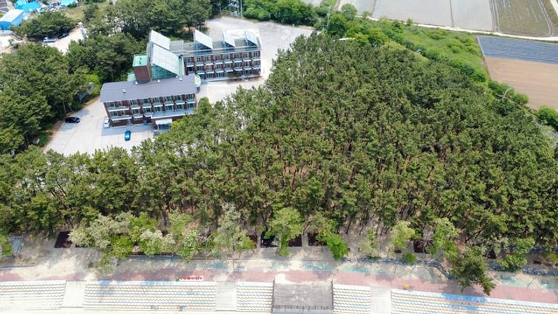 용두해수욕장 숲속야영장 대표 사진