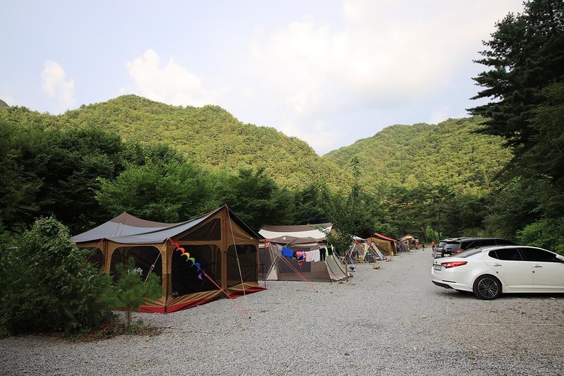 내리계곡 솔밭캠핑장 시설 사진 9