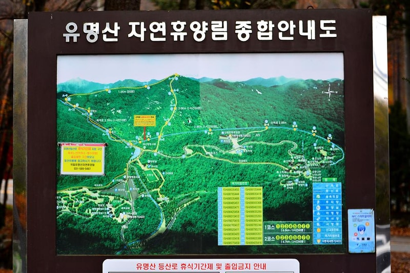 국립유명산자연휴양림(자동차) 시설 사진 10