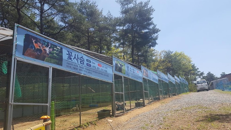 숲속의베리팜 시설 사진 5