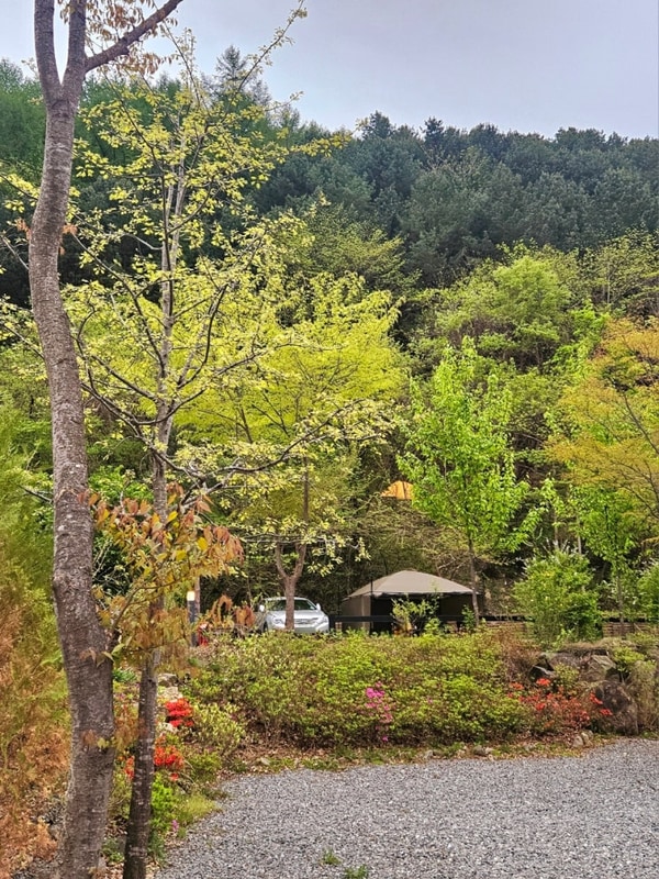 캠핑하기 좋은 날에 간 강원도 홍천 그린필로우 비빌언덕2...