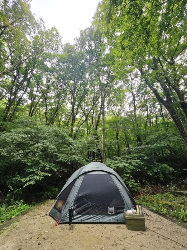 가야산국립공원 삼정야영장 사이트 리뷰 14번