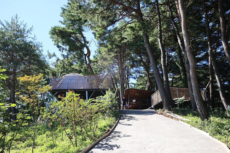 아리아리 숲속의 야영장 시설 사진 1