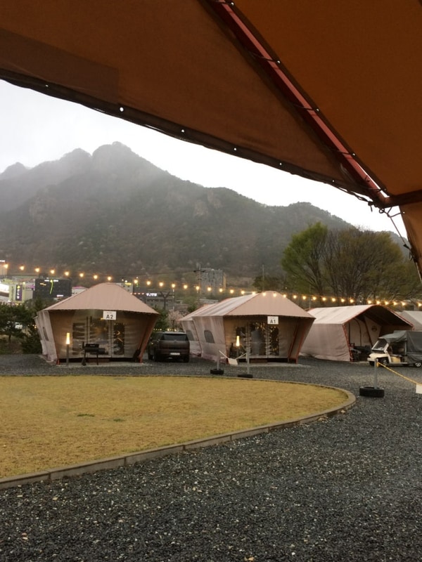 공주 동학사 [베스트필드] 글램핑 /4월의 글램핑 / 대전 근교...