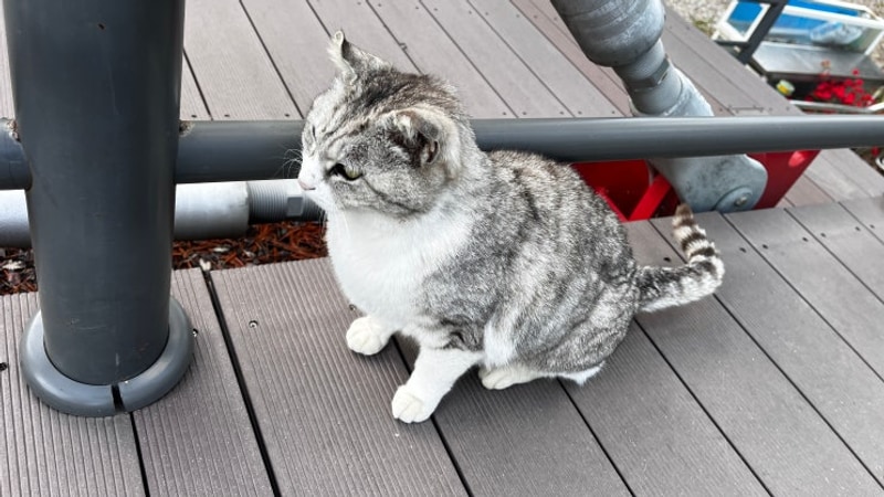 강원도 춘천 청평사 국민여가캠핑장과 유람선