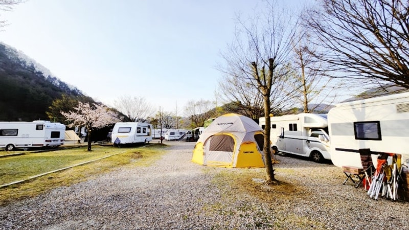 충청알빙패밀리 봄 정기모임 후기(옥천 너와두리농촌캠핑장)