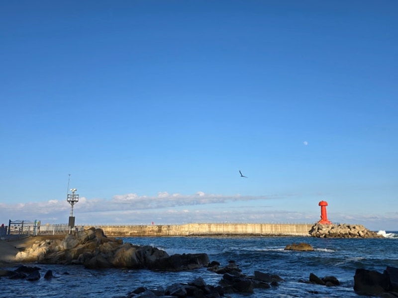 [25.01.10-25.01.12] 양양 월든캠프.