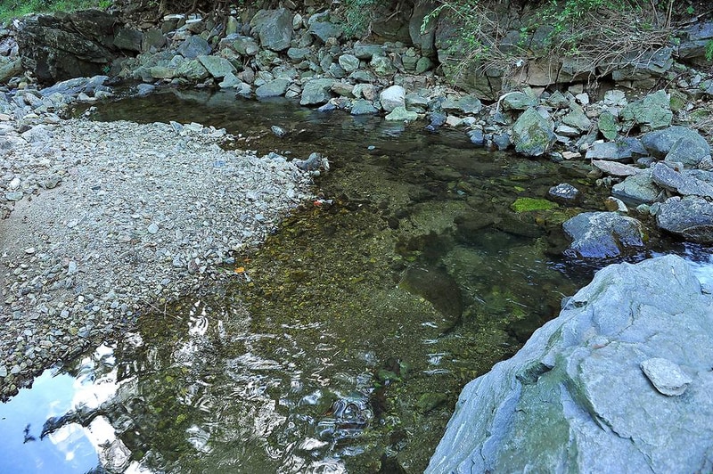 포천 베어스 글램핑 파크 시설 사진 3
