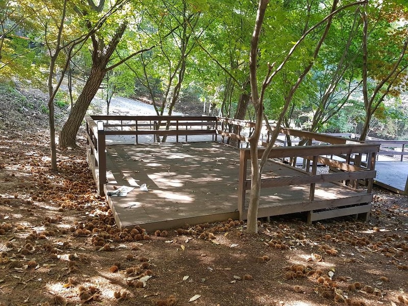 아프리카예술박물관 캠핑장 시설 사진 35