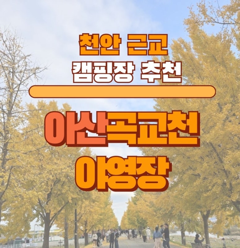 천안 근교 아이들과 가기 좋은 캠핑장, 아산 곡교천야영장 후기