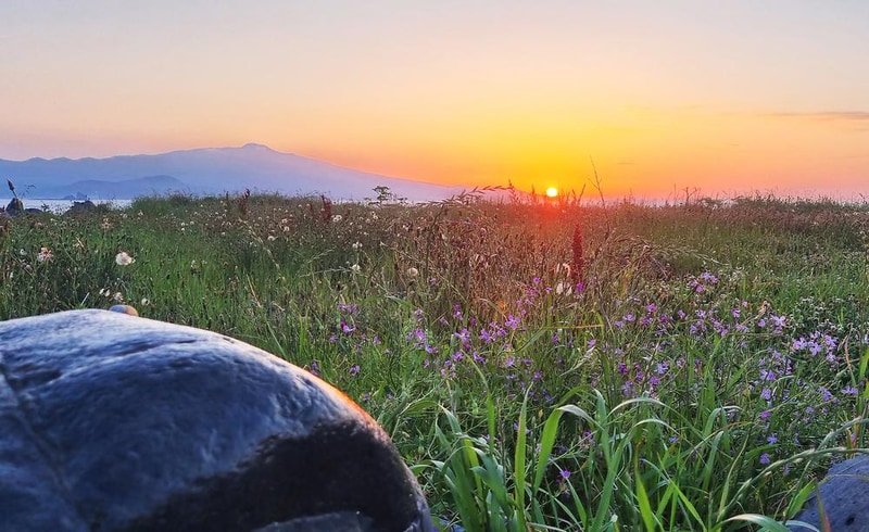 태봉왓 시설 사진 5