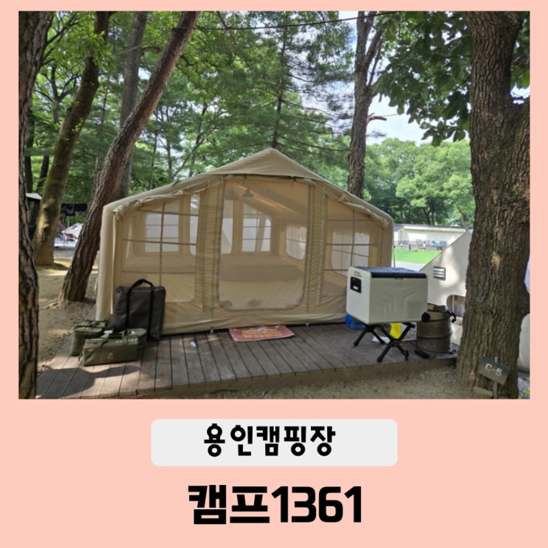 용인 캠프1361 수영장 있는 키즈캠핑장(애견동반)