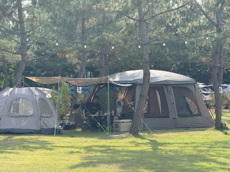 시흥있는 판타스틱캠프닉 - 롱니네