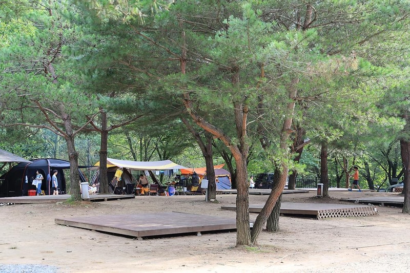 검산별빛캠핑장 시설 사진 2