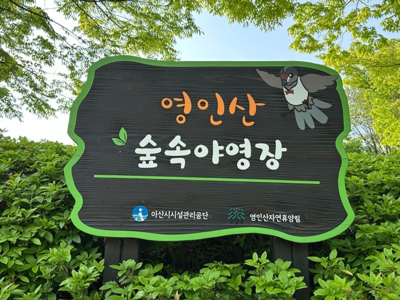 아산 "영인산자연휴양림 숲속야영장" - 짐 나르는 A구역...