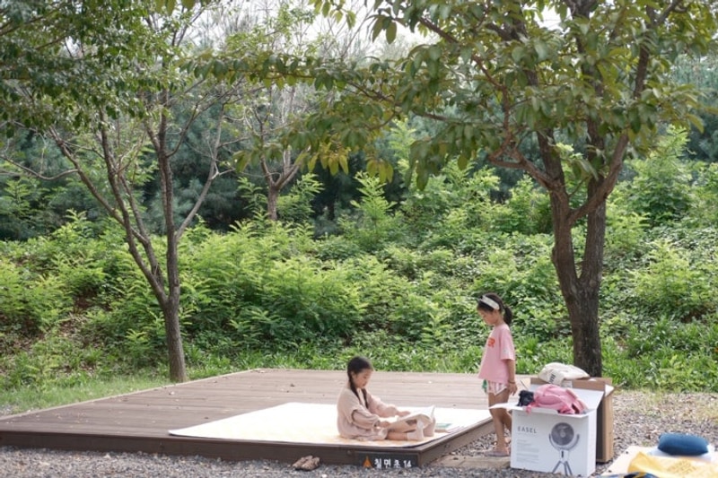 시흥갯골캠핑장,치명적인 단점 알려드림