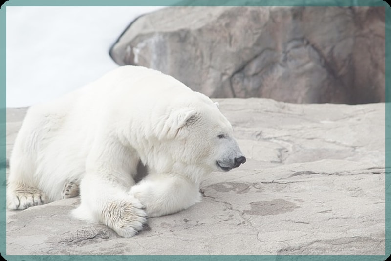 포천계곡캠핑장 소개와 장단점 분석