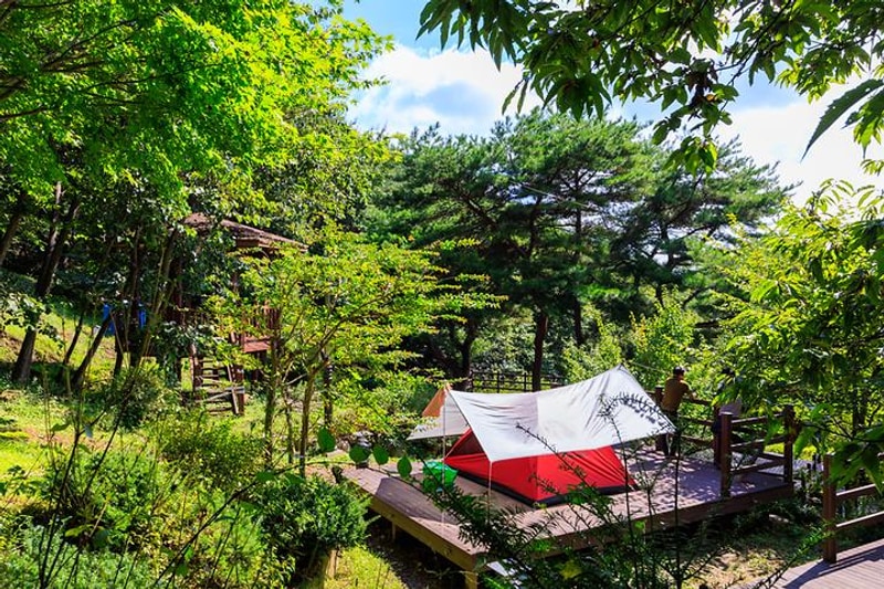 팔공산국립공원 갓바위야영장 대표 사진