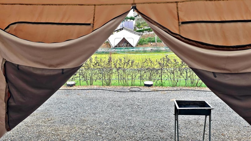 태안 안면도 비비애견동반캠핑장 시설 사진 6