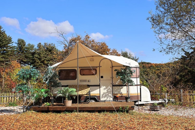 잭스캠프 시설 사진 5