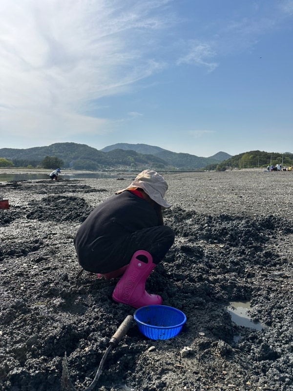남해 별천지캠핑장 :: 3번 사이트 갯벌 바지락, 쏙 체험 후기