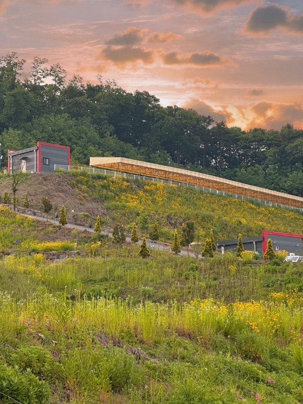 [용인]아이와 가기 좋은 에버 오토캠핑장 E존ㅣ서울 근교...