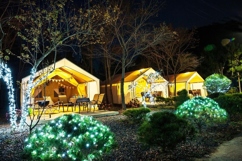 노꼬담꼬 시설 사진 20